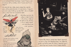 The Journal of Arthur Meadows - 6-7